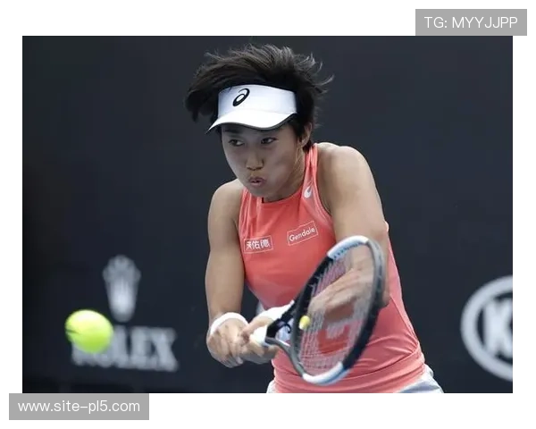 张帅迎来职业生涯巅峰表现 排名飙升至119位展现强劲复苏势头